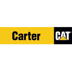 Carter Cat